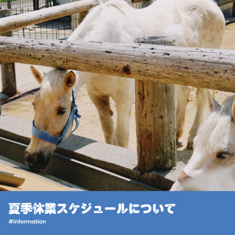 夏季休業スケジュールについて